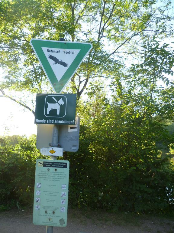 Storchennest Daire Bad Säckingen Dış mekan fotoğraf