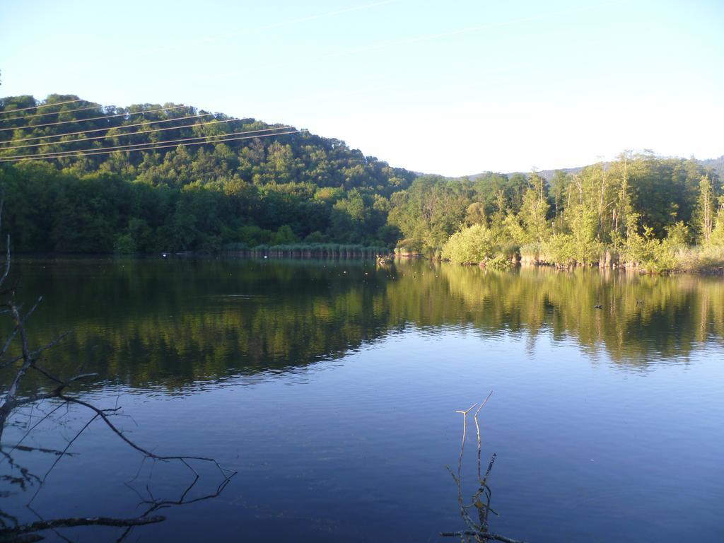 Storchennest Daire Bad Säckingen Dış mekan fotoğraf
