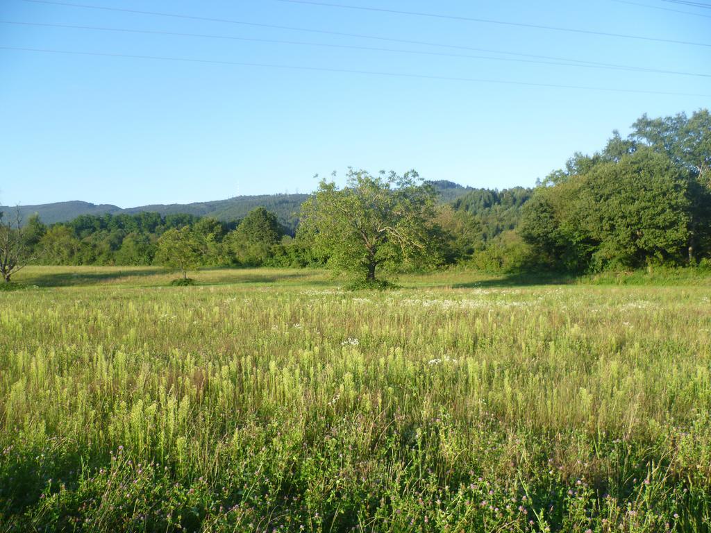 Storchennest Daire Bad Säckingen Dış mekan fotoğraf