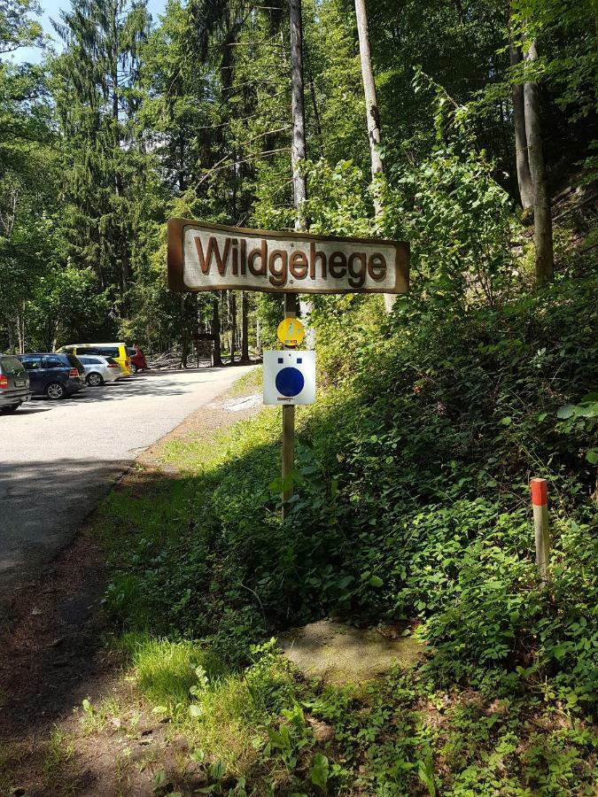 Storchennest Daire Bad Säckingen Dış mekan fotoğraf