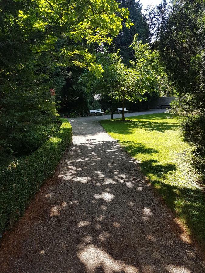 Storchennest Daire Bad Säckingen Dış mekan fotoğraf