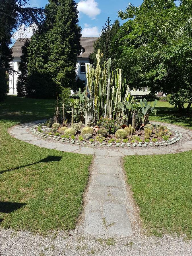 Storchennest Daire Bad Säckingen Dış mekan fotoğraf