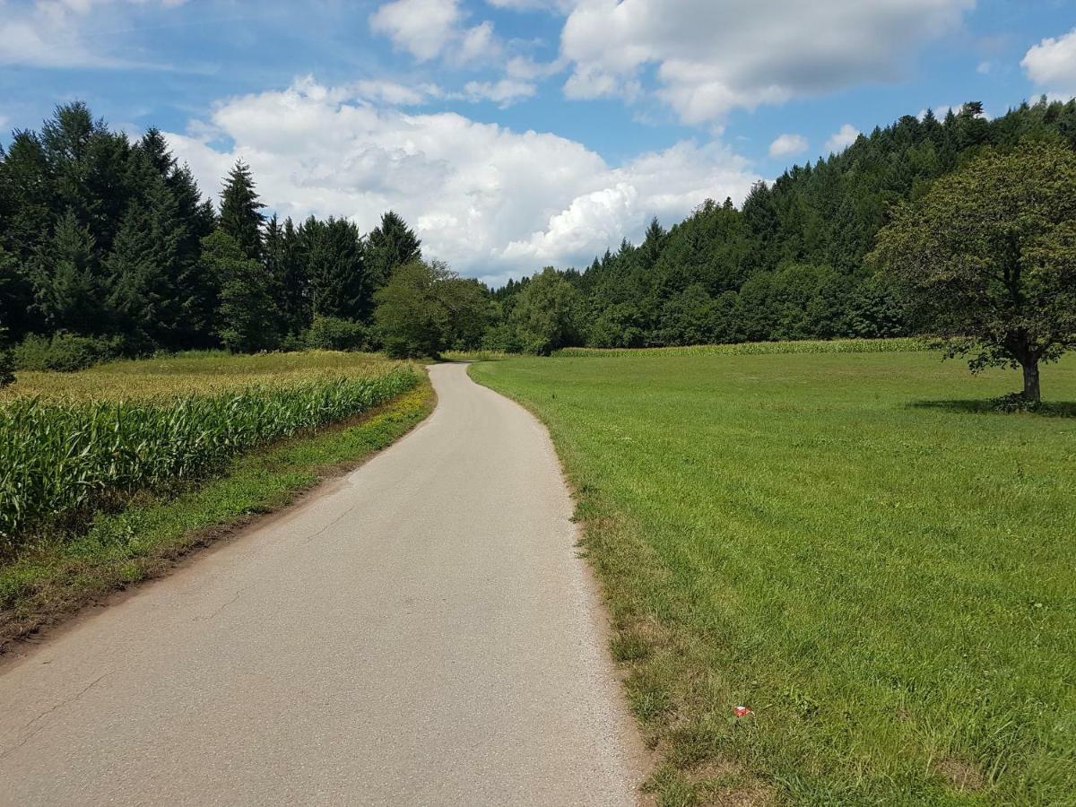 Storchennest Daire Bad Säckingen Dış mekan fotoğraf