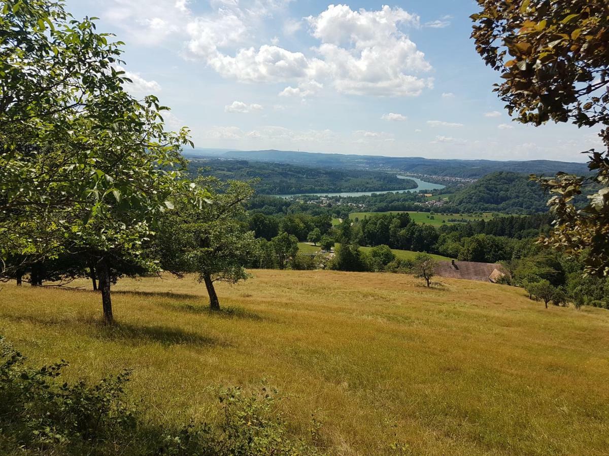 Storchennest Daire Bad Säckingen Dış mekan fotoğraf