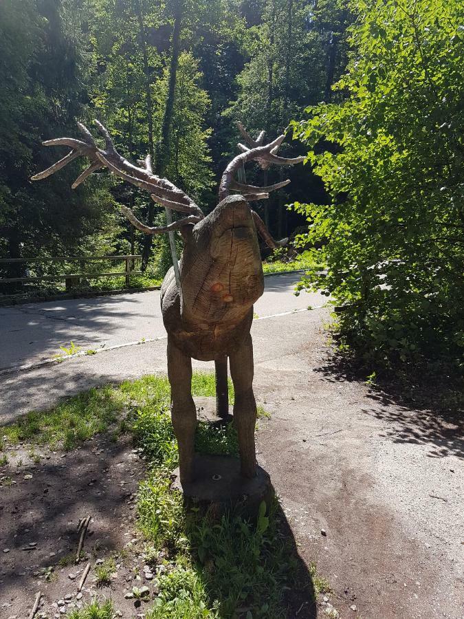 Storchennest Daire Bad Säckingen Dış mekan fotoğraf