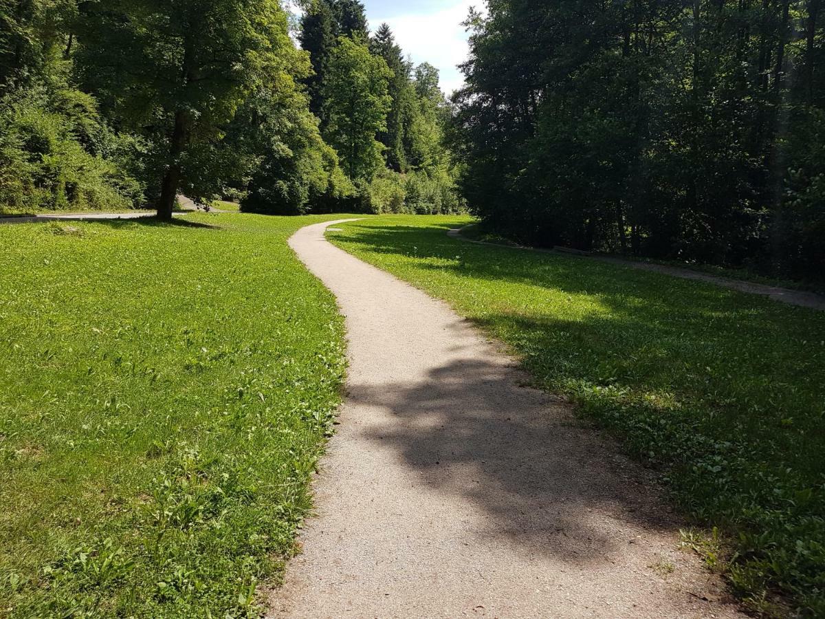 Storchennest Daire Bad Säckingen Dış mekan fotoğraf