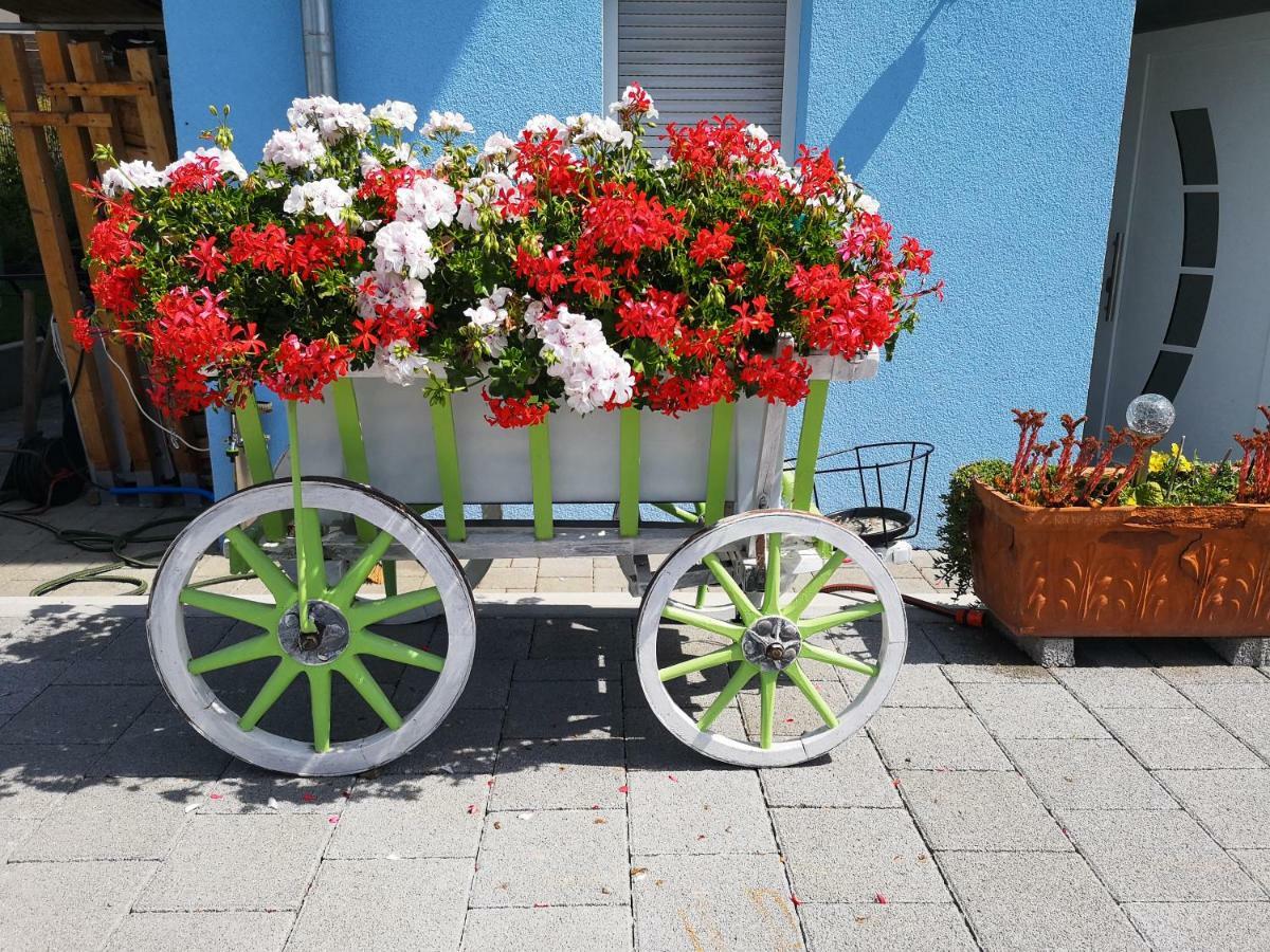 Storchennest Daire Bad Säckingen Dış mekan fotoğraf